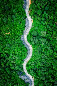 An overhead view of a winding road through a green forest.